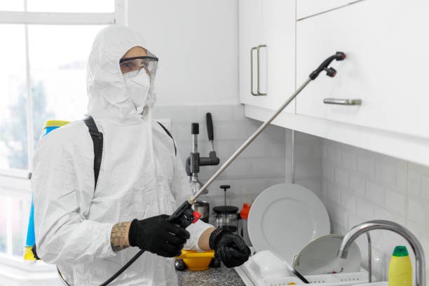 Termite Control Services